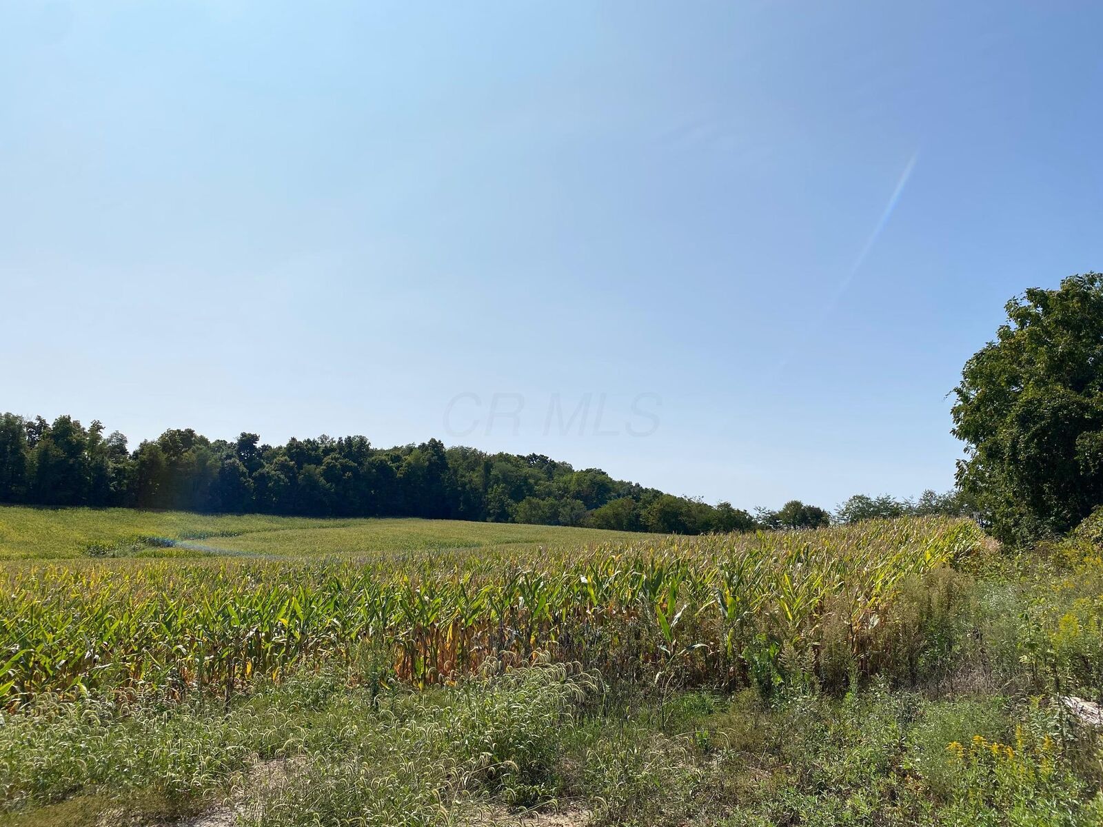 Property Photo:  0 Duncan SW Road  OH 43130 