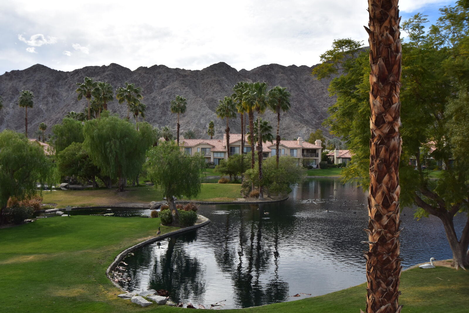 Property Photo:  55183 Tanglewood  CA 92253 