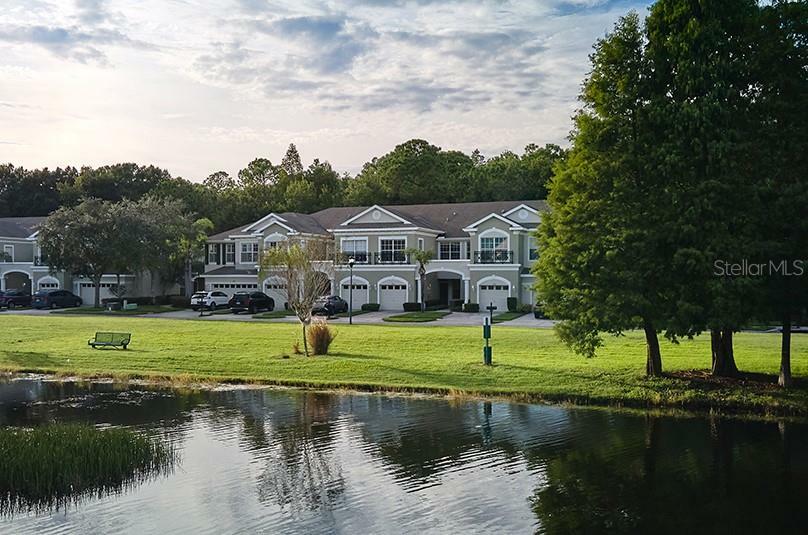 Property Photo: 14165 Waterville Circle FL 33626