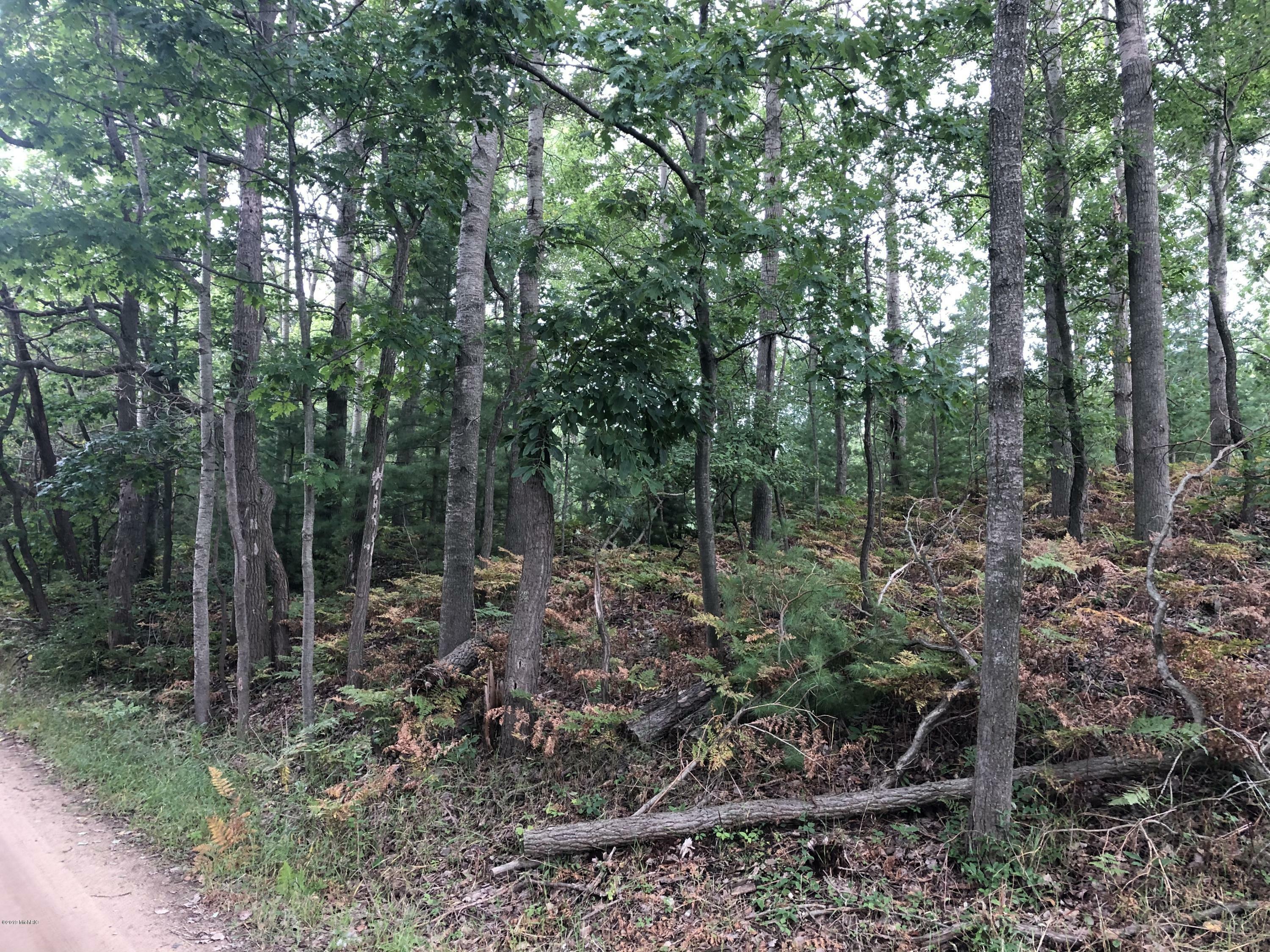 Property Photo:  Lot 2 Harrison Road  MI 49436 