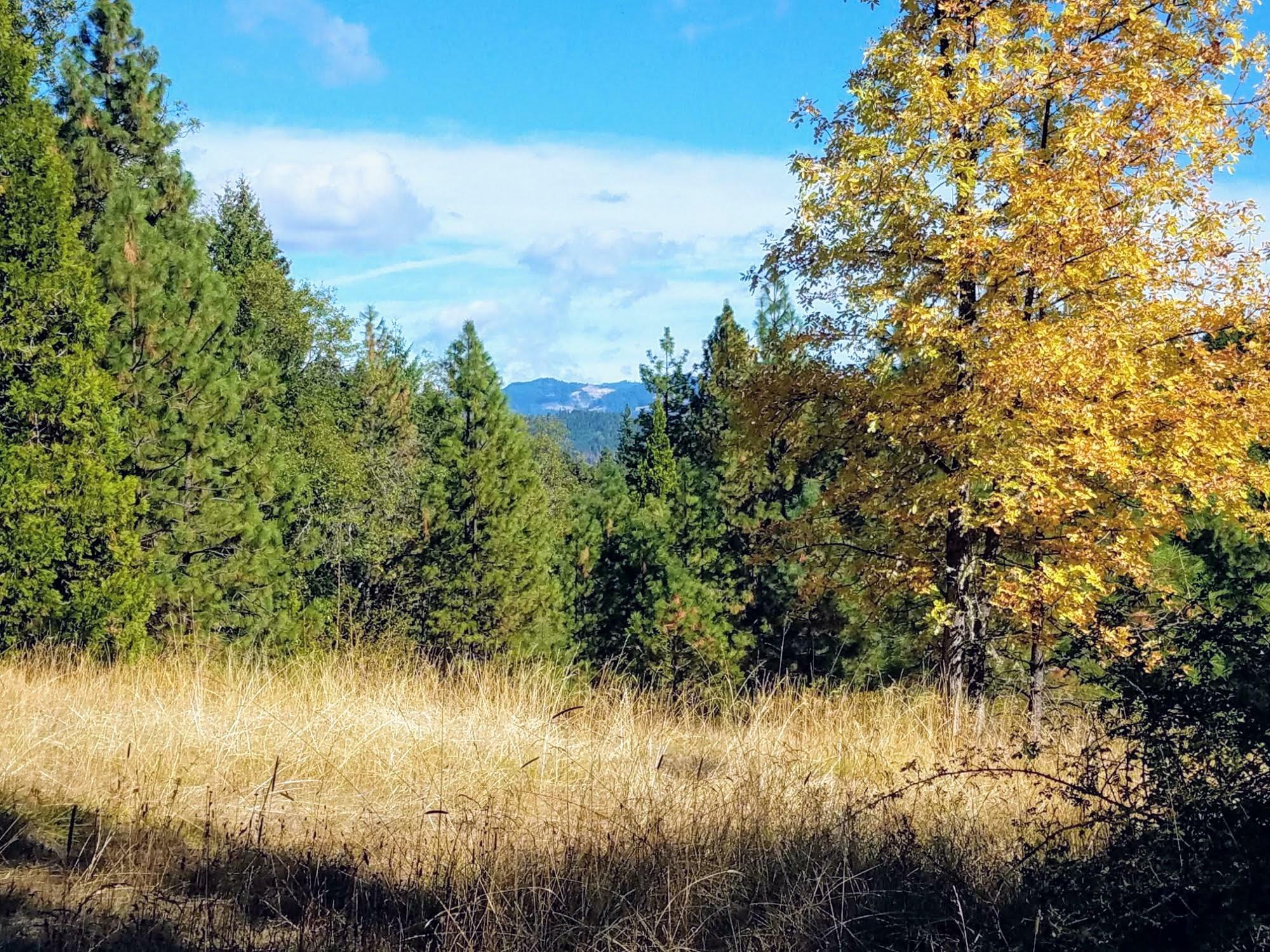 999 W Fork Trail Creek Road  Trail OR 97541 photo