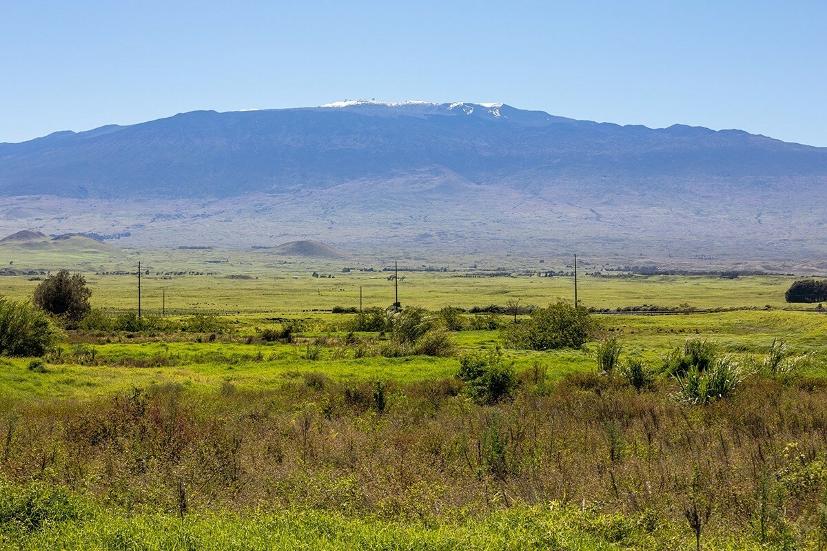 Property Photo:  64-733 Mamalahoa Hwy  HI 96743 