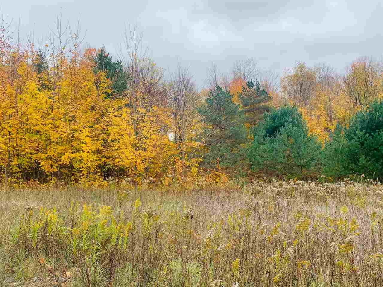 Property Photo:  Tbd Dean'S  MI 49712 