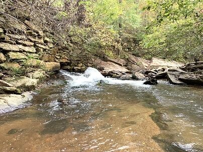 Property Photo:  5183 County Road 7  AL 36278 