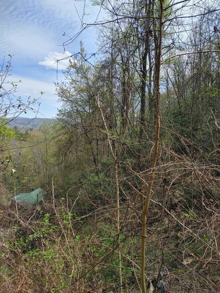 Property Photo:  7.13 Acres Costner Road  TN 37727 