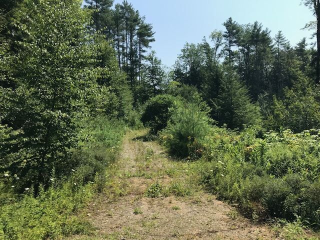 Property Photo:  0 Colby Road  NH 03276 