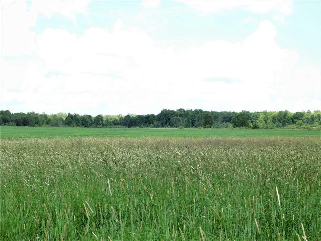 Property Photo:  92.50 Acres Mol Sawmill Road Road  WI 54403 