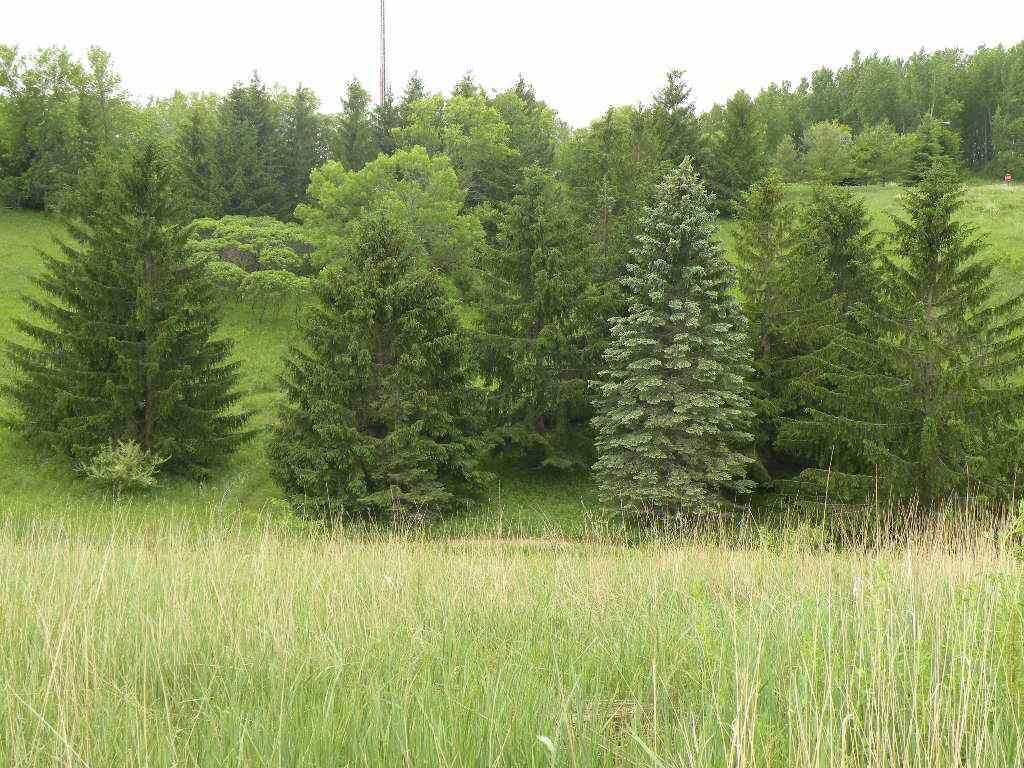 Property Photo:  291 Moraine Drive  WI 54971 