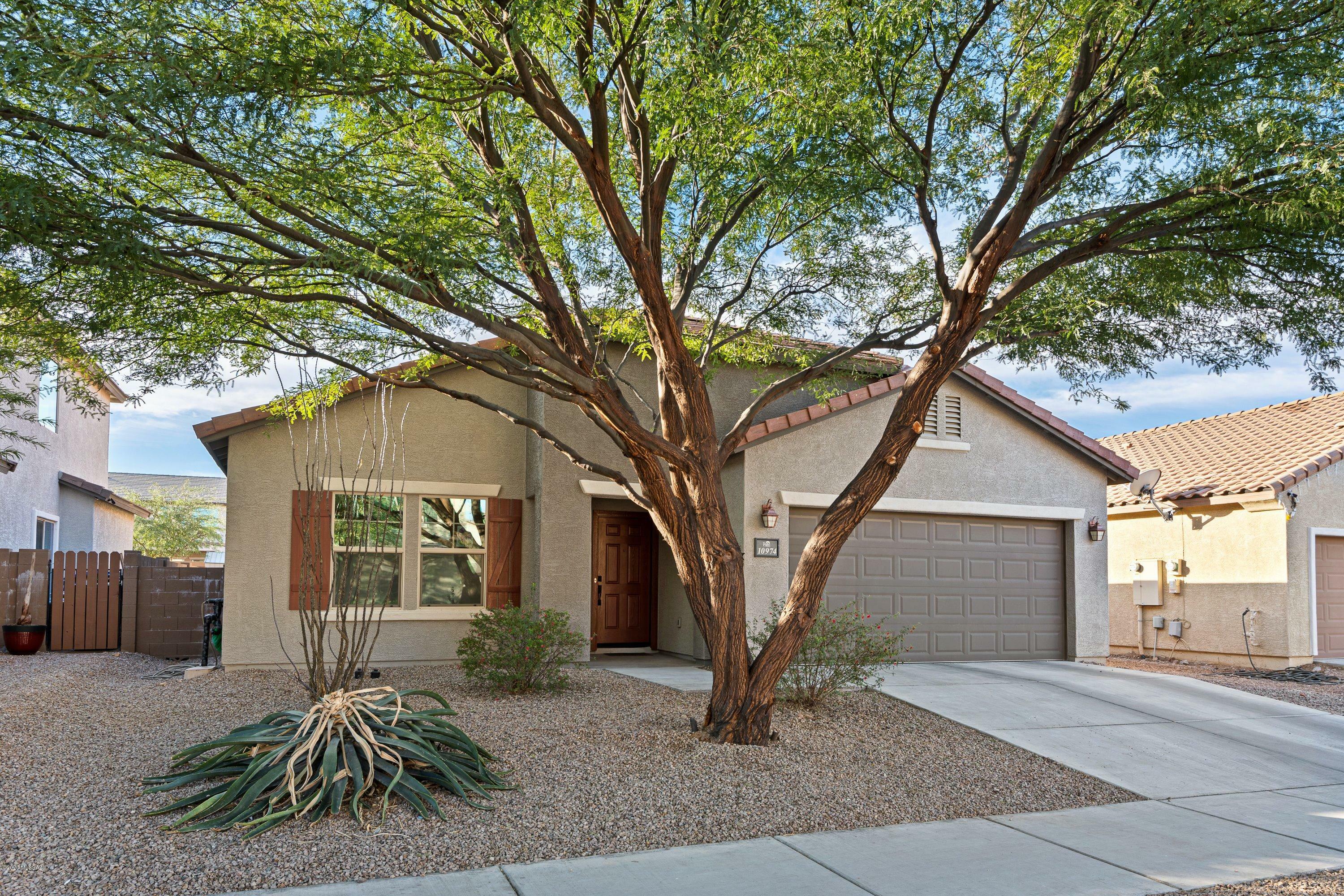 Property Photo:  10974 E English Daisy Lane  AZ 85747 