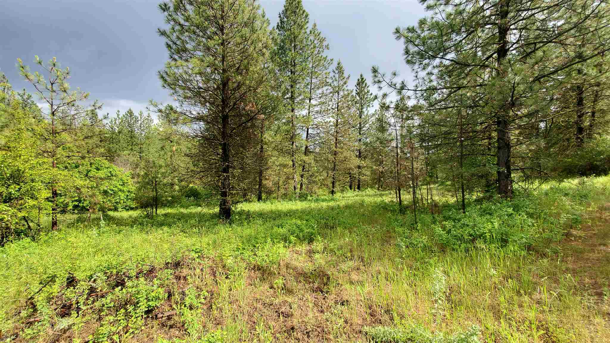 Property Photo:  6269 Miller Mountain Rd  WA 99129 