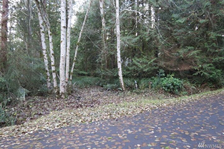 Property Photo: 100 E Liberty Rd WA 98584