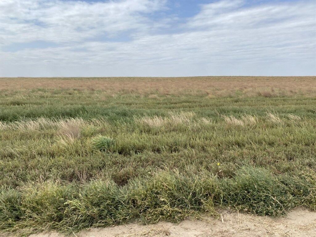 Property Photo: 3970 West Parallel Road KS 67846