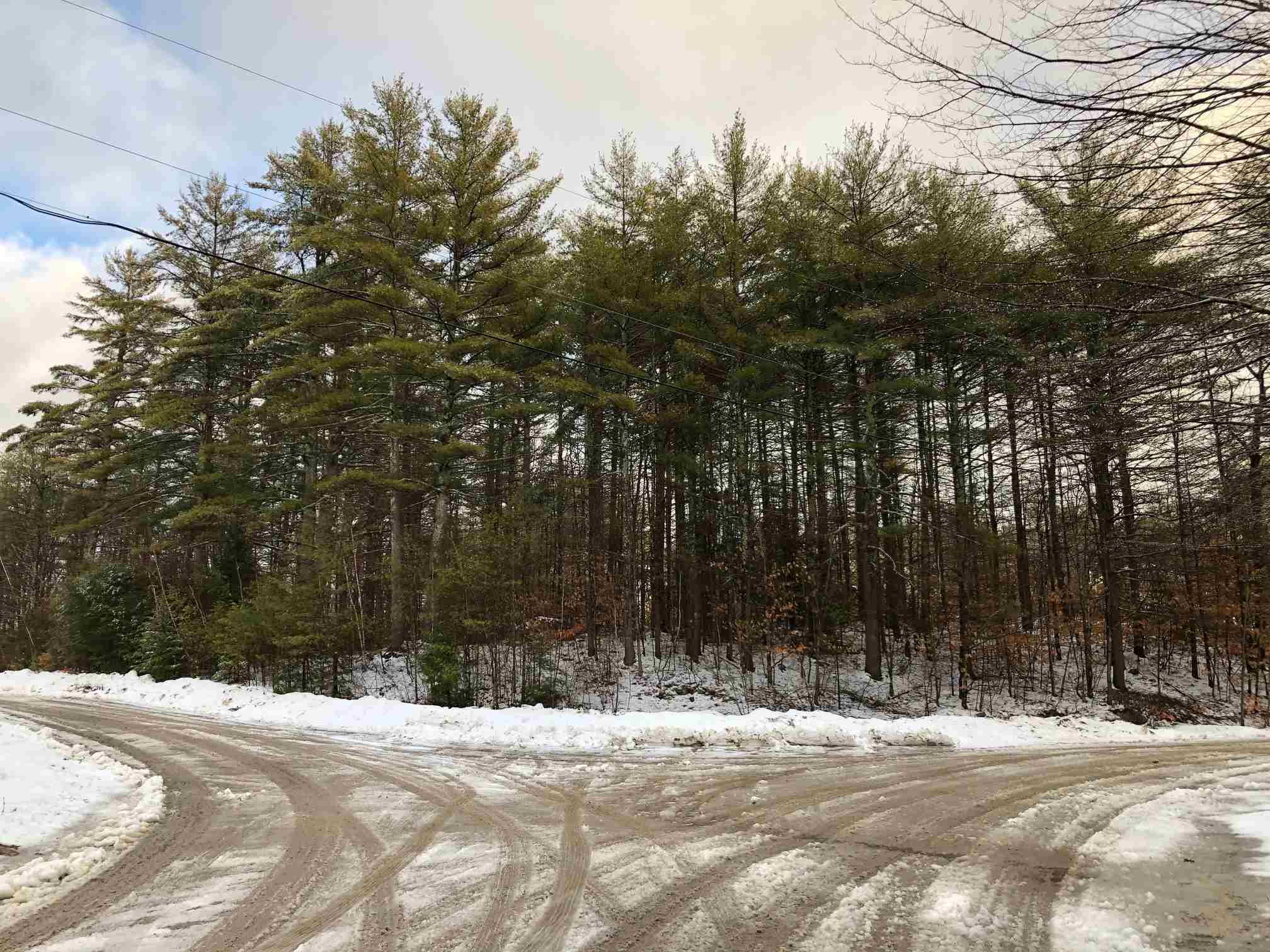 Property Photo:  Lot 39 Deer Run Road Lot 39  NH 03887 