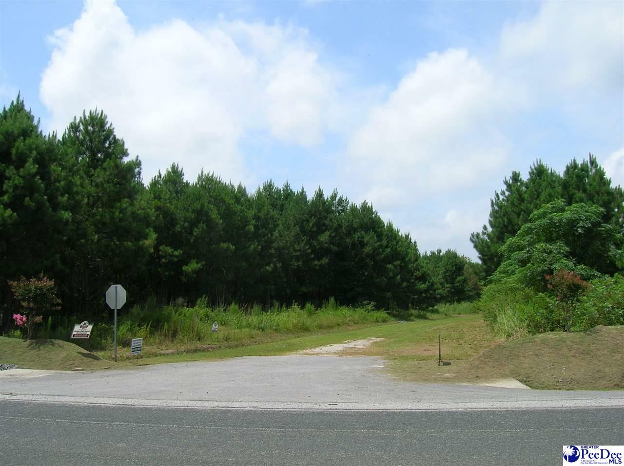 Property Photo:  Lot 1 Drake'S Nest Lane  SC 29532 