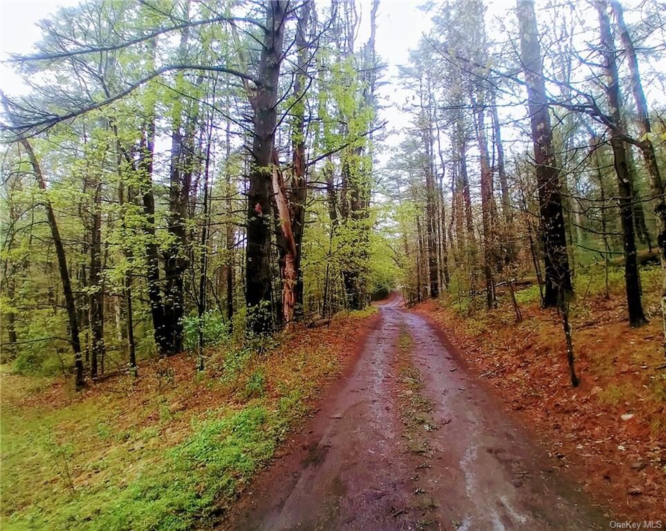 Property Photo:  1833 State Route 209  NY 12790 