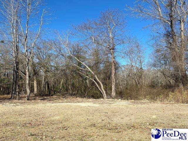 Property Photo:  Lot #43 Glenmore Way  SC 29505 