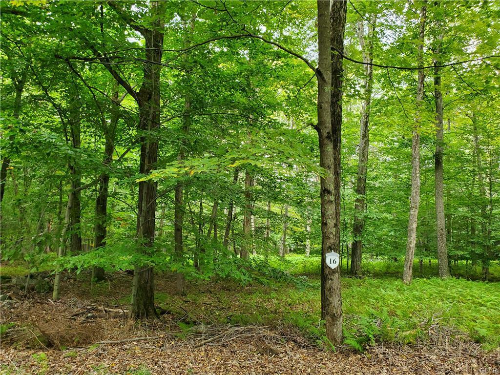 Property Photo:  16 Oak Leaf Lane Lot 16  PA 18347 