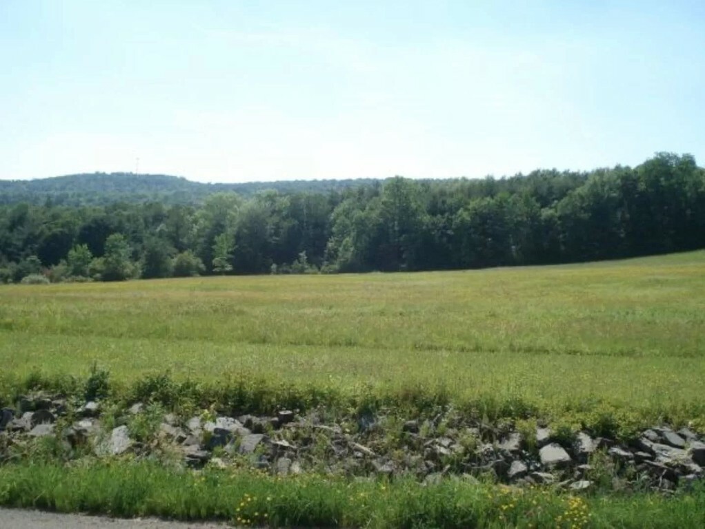 Property Photo: 335 Ostrander Road NY 13865