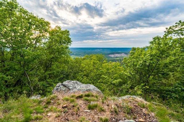 Property Photo: 0000 N County Road 89 AL 35984