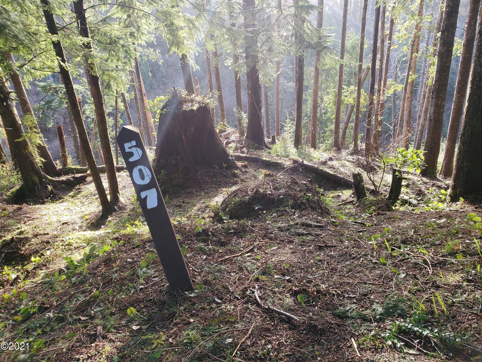 Property Photo:  507 Beaver Pond Lane  OR 97388
