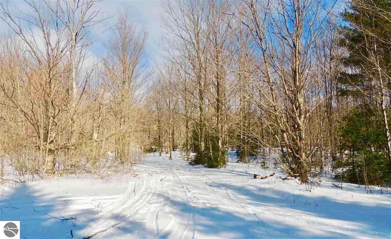 Property Photo:  000 Snell Road  MI 49635 