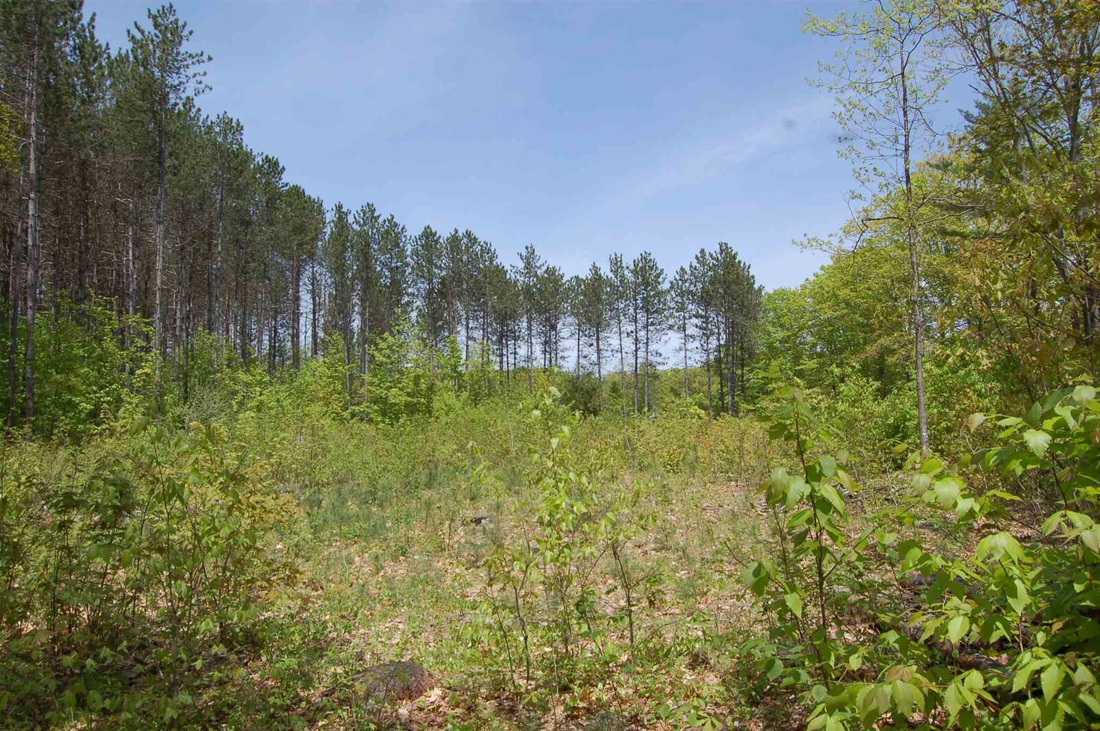 Property Photo: 0 N Wilmot &Amp Richards Road NH 03287