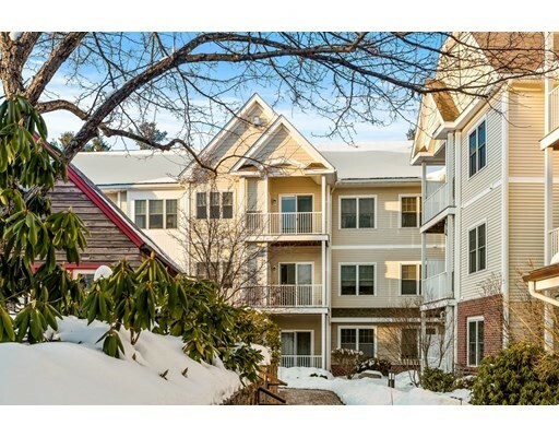 Property Photo: 160 Daniel Webster 306 NH 03060