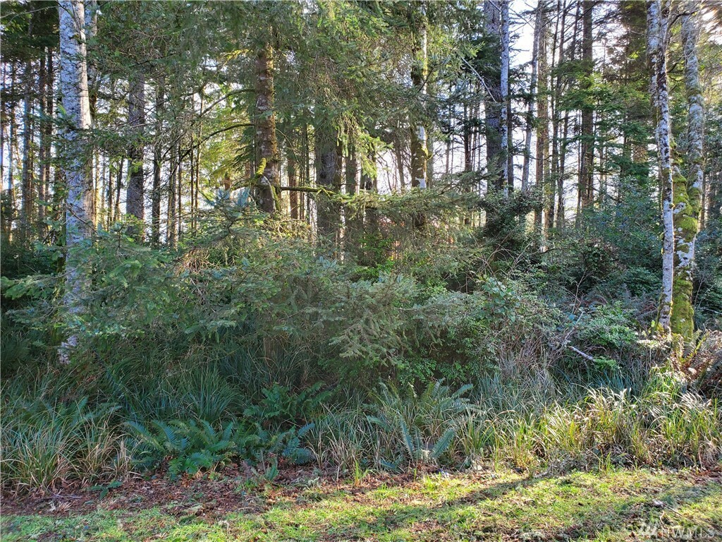 Property Photo:  281 Pearsall St SE  WA 98569 