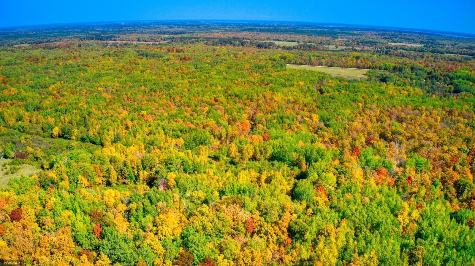 Property Photo:  Tbd 317th Ave  MN 56633 