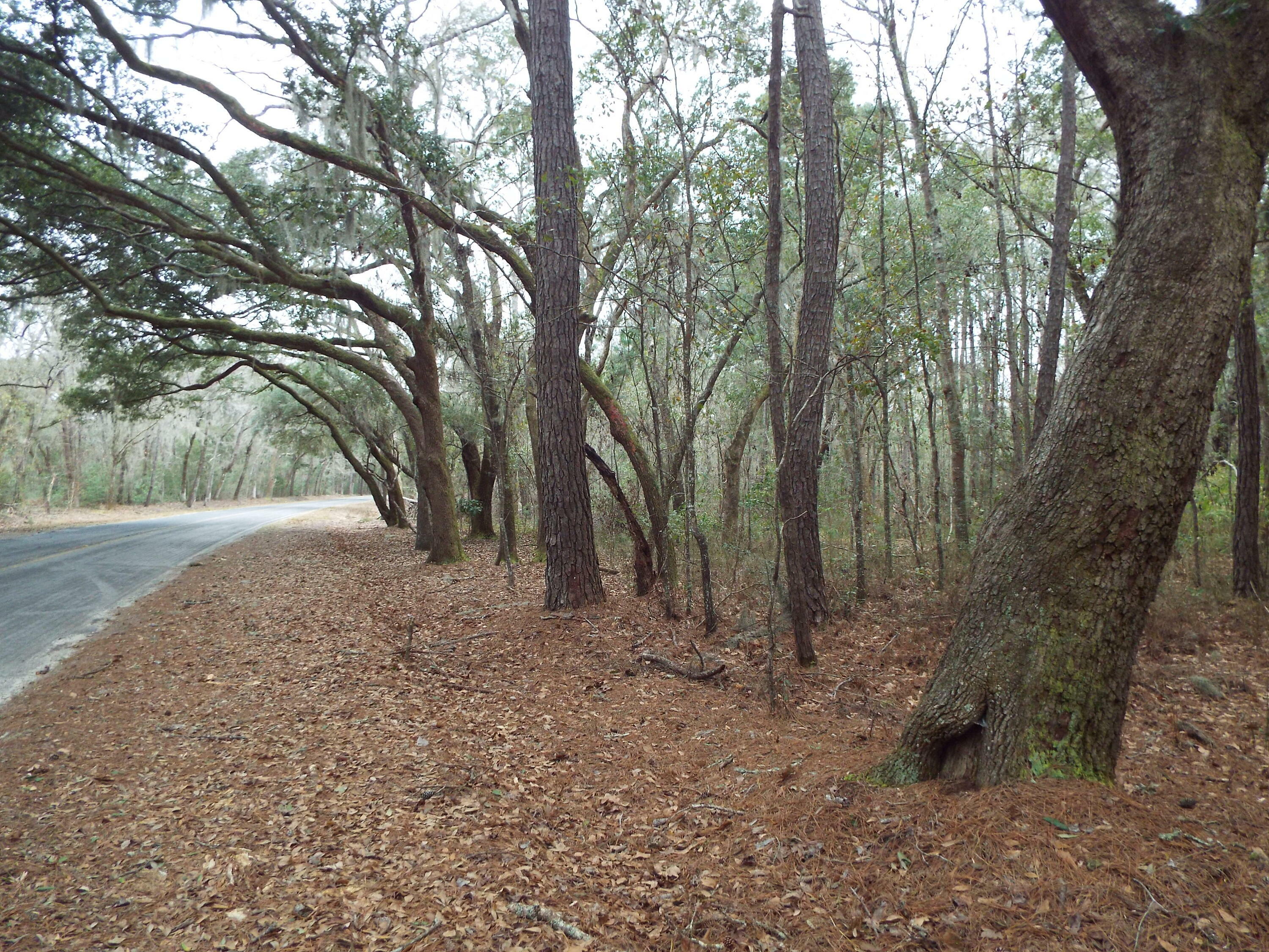 Property Photo:  0 Oak Island  SC 29438 