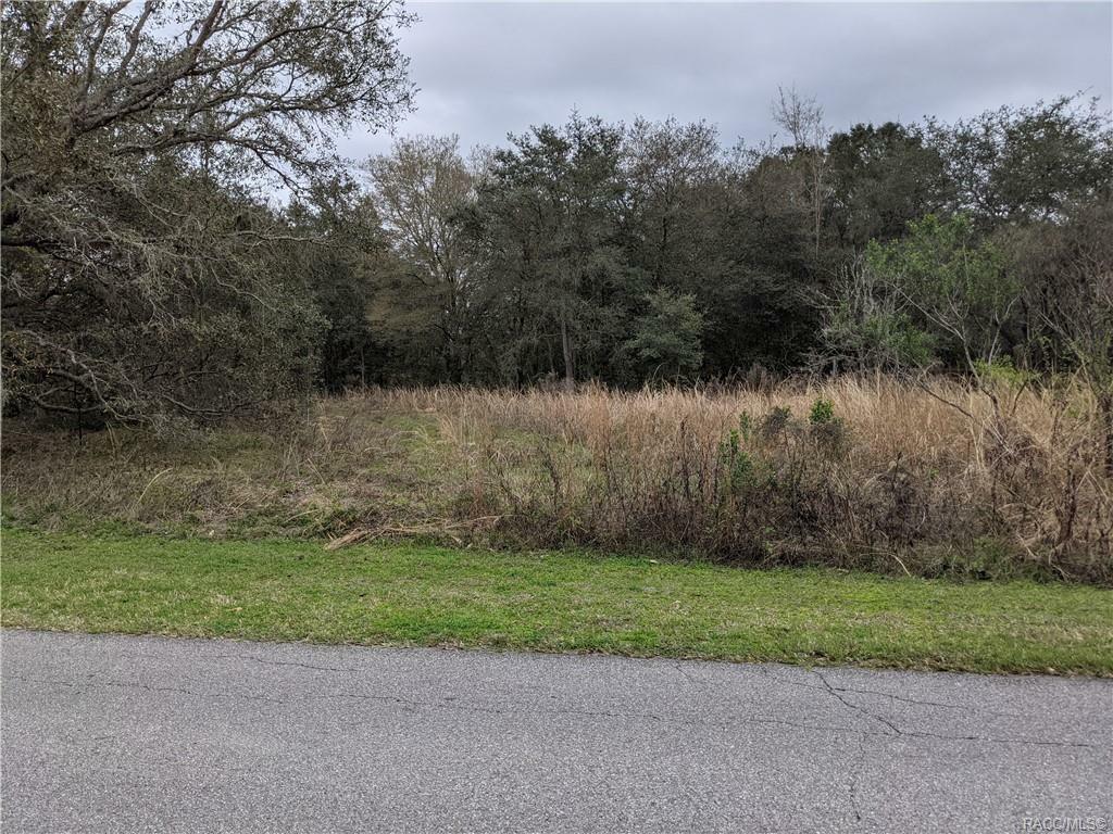 Property Photo:  427 N Highview Avenue  FL 34442 