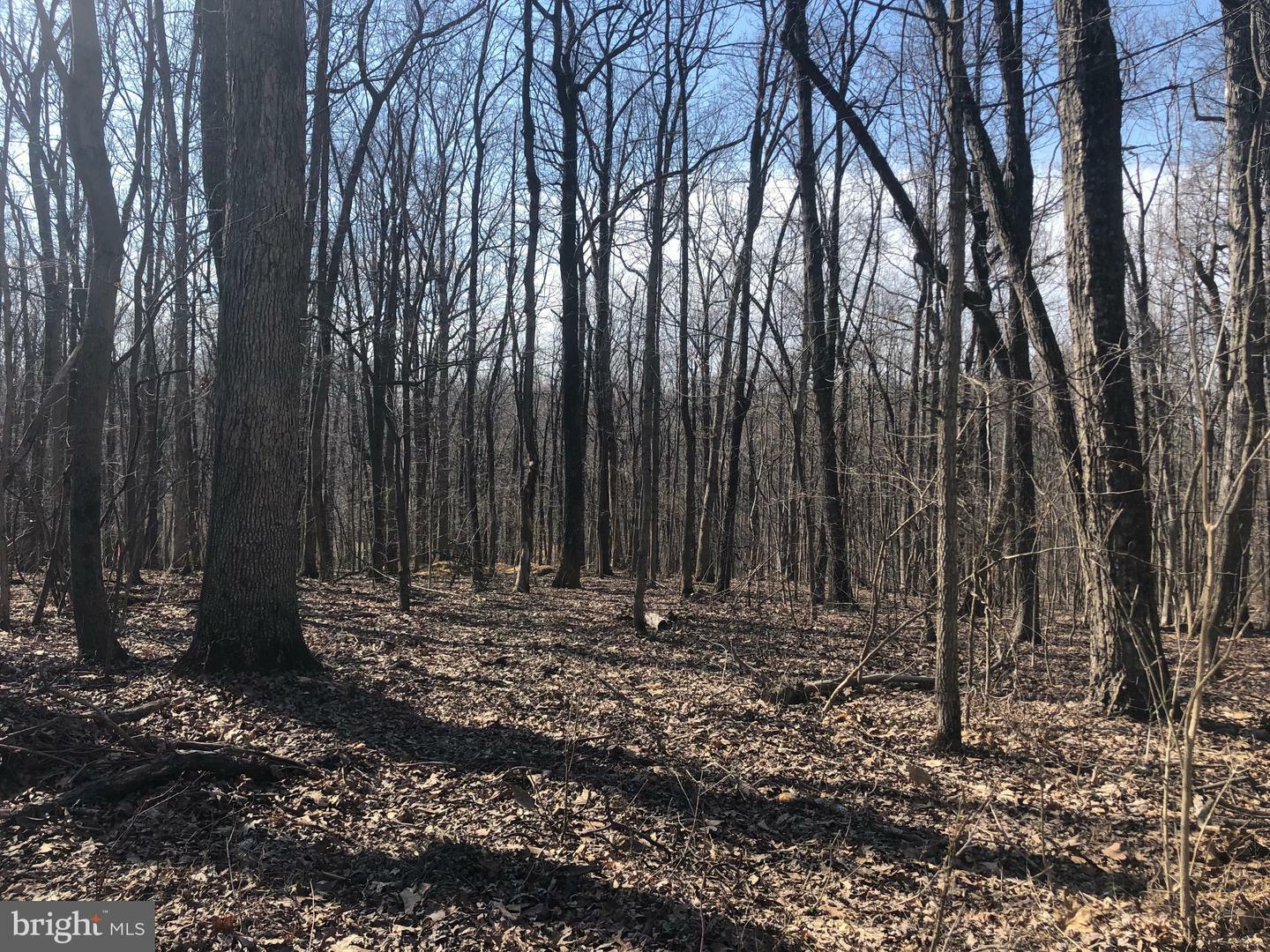 Property Photo: 0 Kelly Drive WV 25425