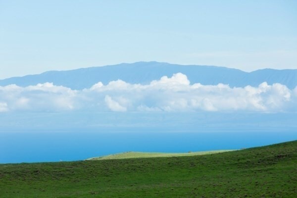 Property Photo: Maluhi St HI 96743