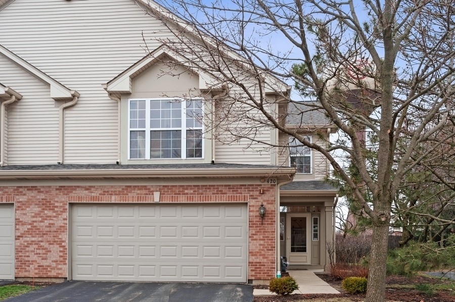 Property Photo:  420 Alexia Court  IL 60090 