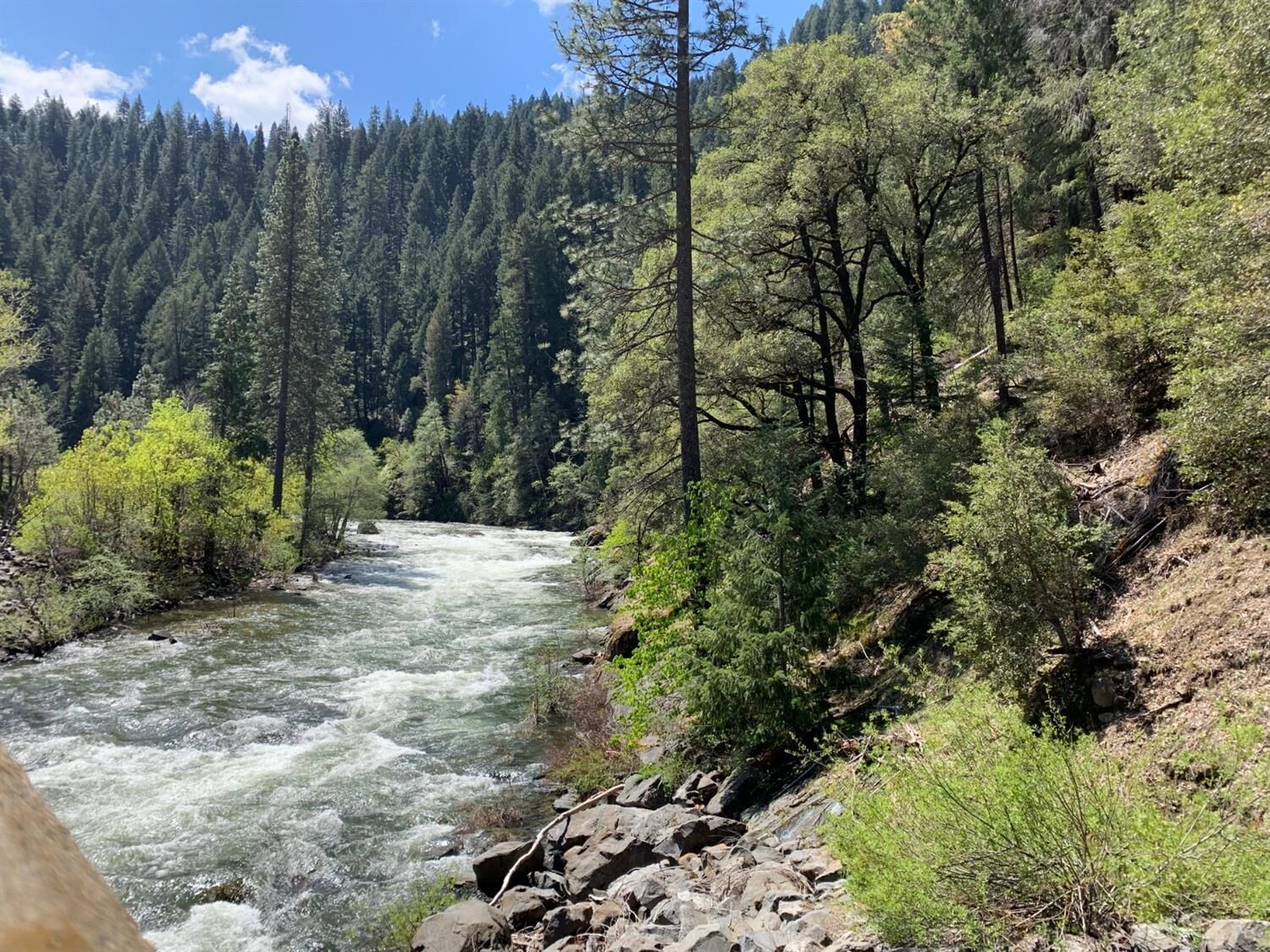 Property Photo:  0 65 Acres Hwy 50  CA 95726 