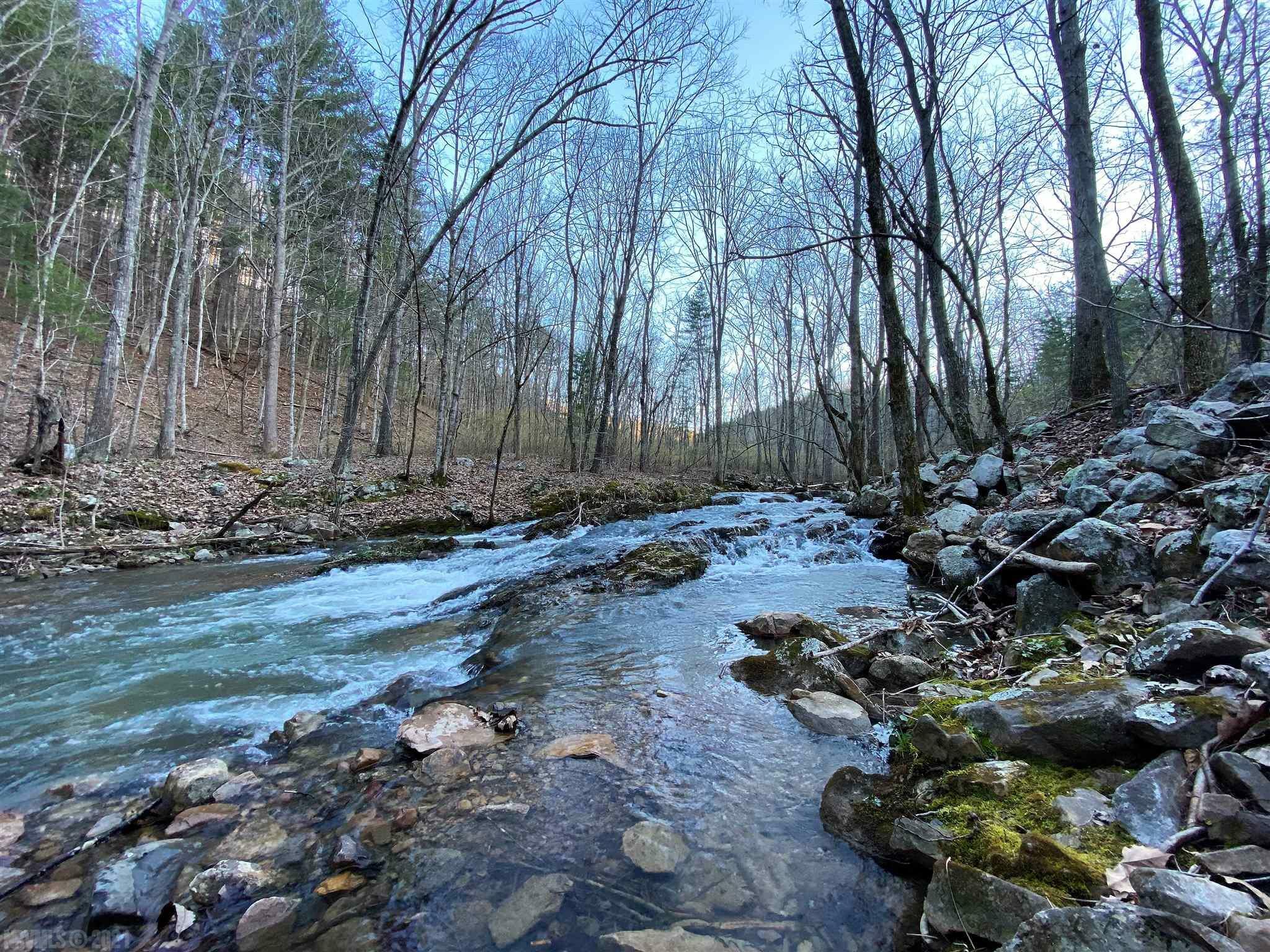 Property Photo:  0 Miller Cove Road  VA 24070 