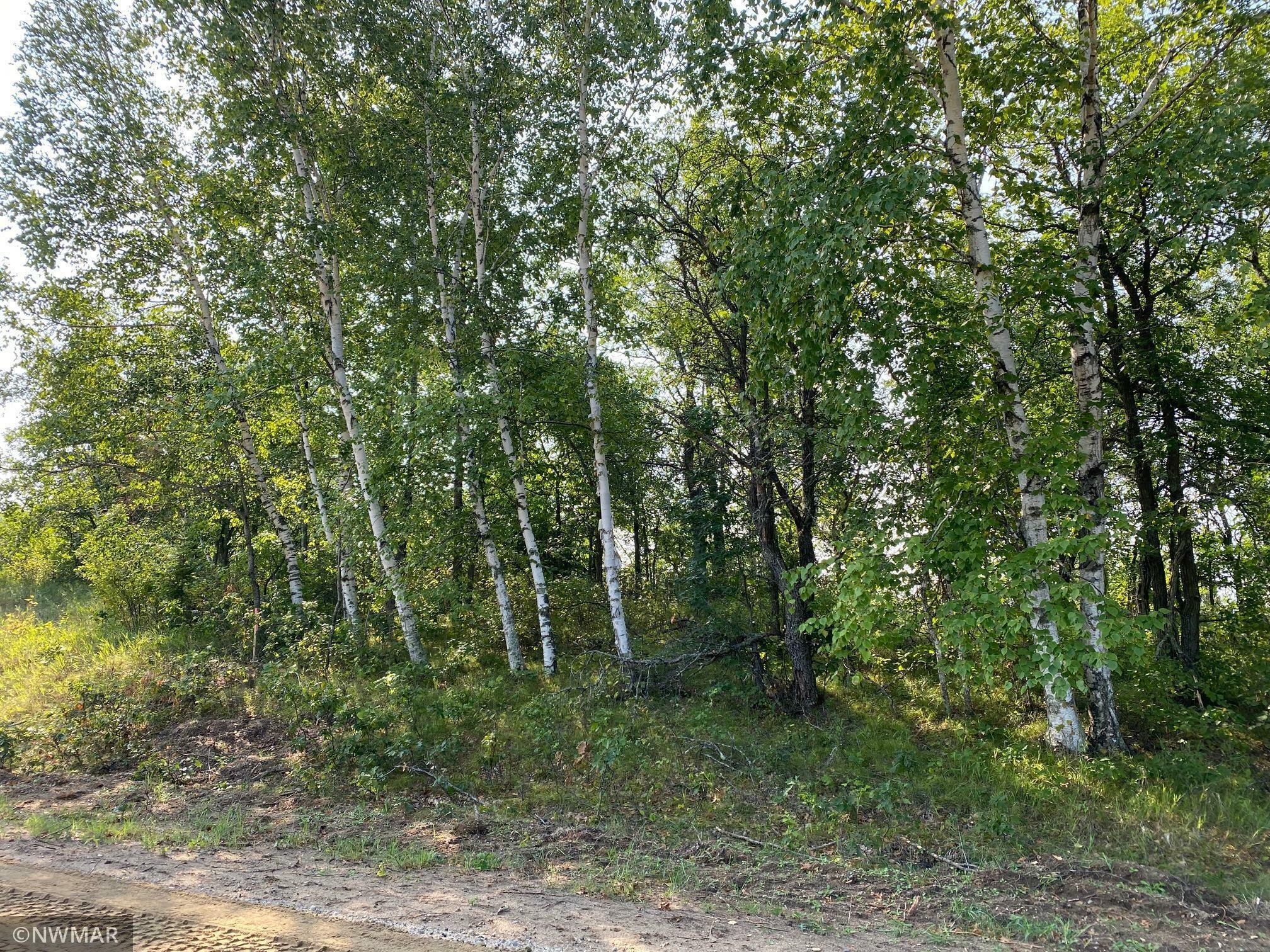 Property Photo:  Tbd (L8,B2) Goldfinch Lane SW  MN 56601 