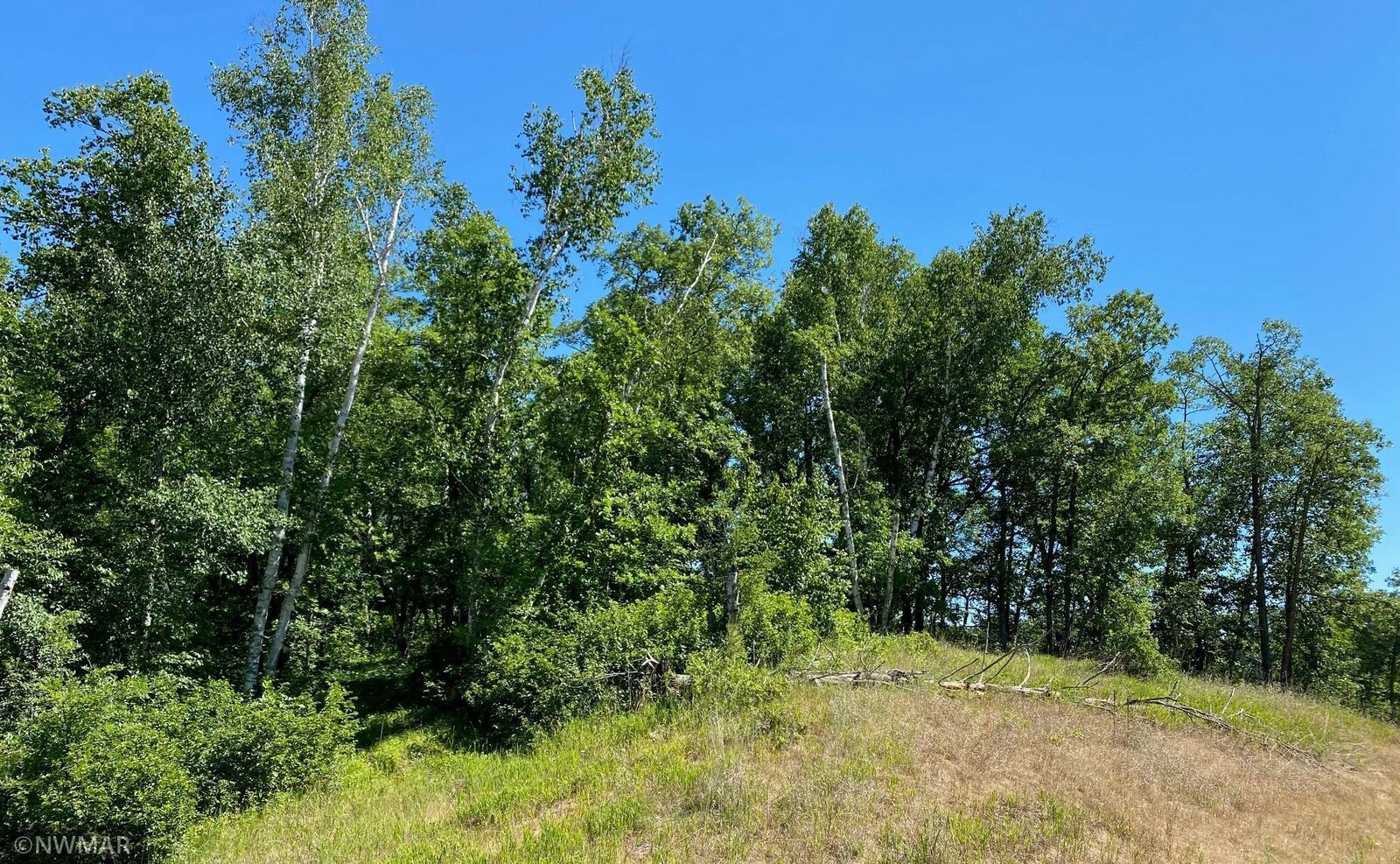 Property Photo:  Tbd Boot Lake Road SW  MN 56601 