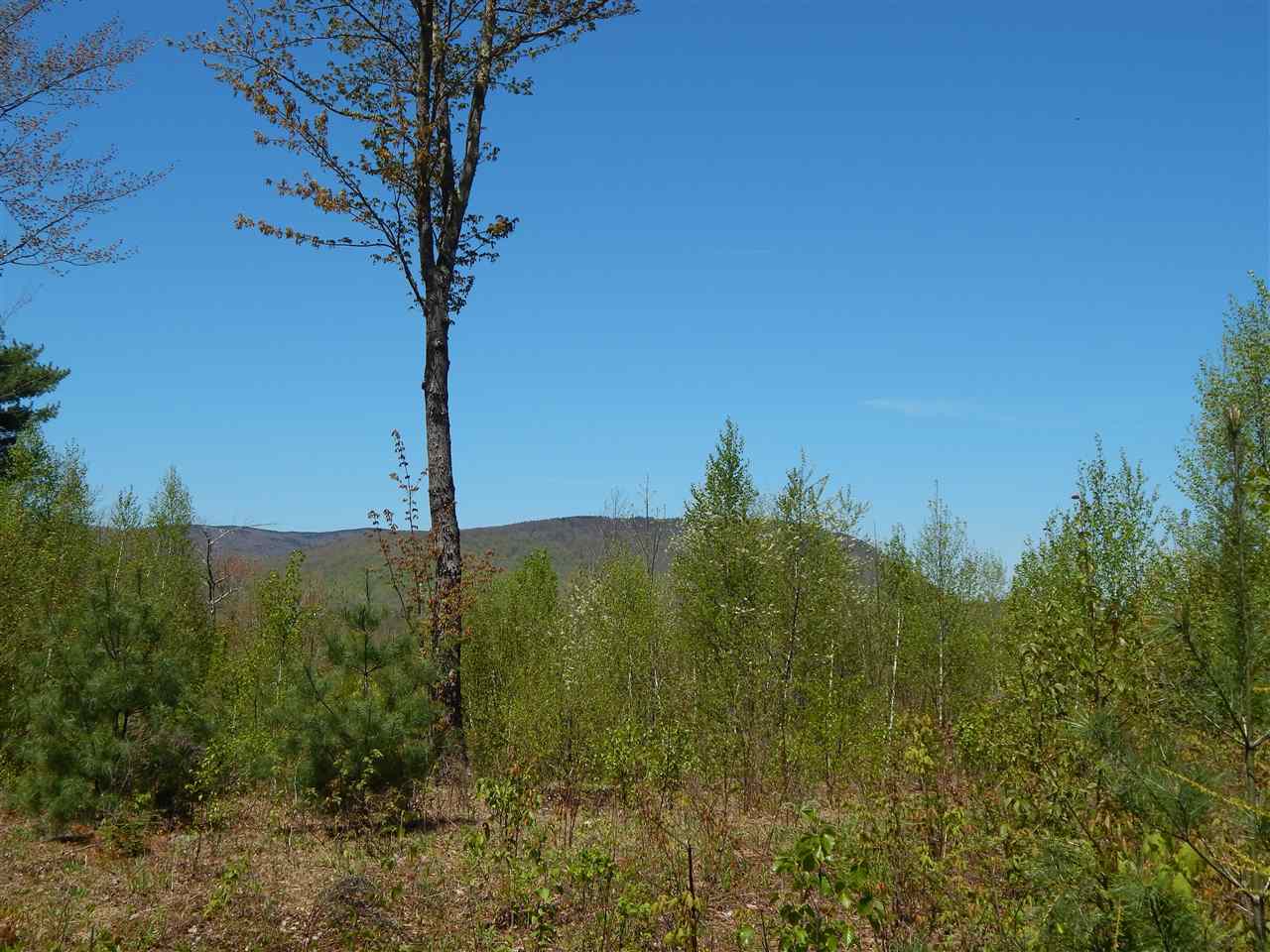 Property Photo:  Lot #10 North Ridge Road  NH 03221 