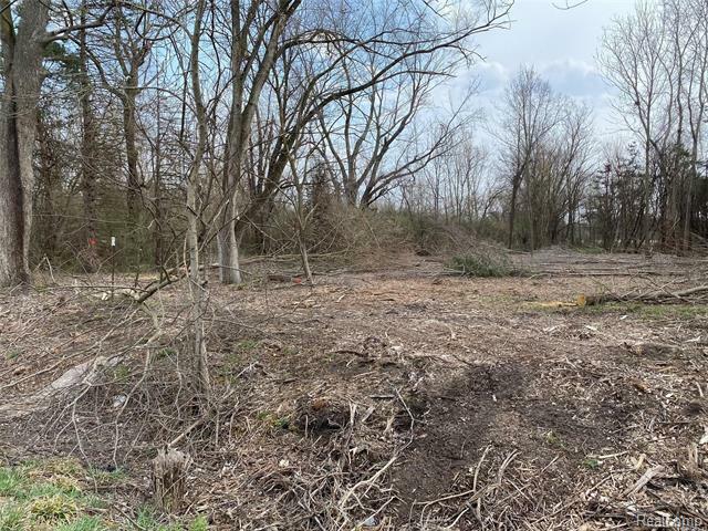 Property Photo: 0 Hull Road MI 48111