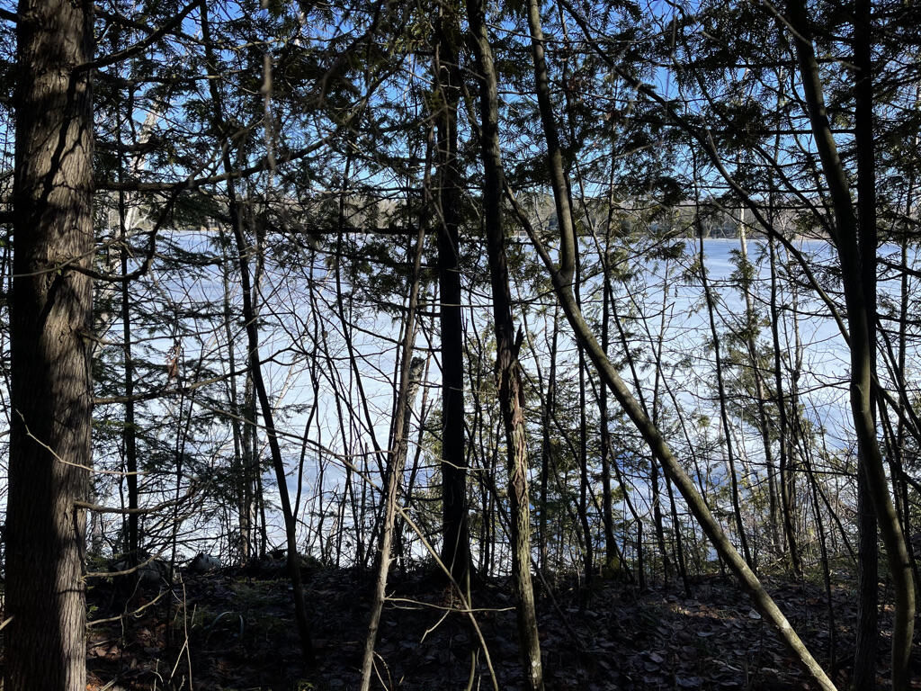 Property Photo: Hiawatha Drive MI 49721