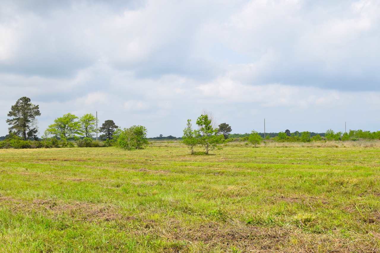 Property Photo:  00003 Hamshire Rd  TX 77665 