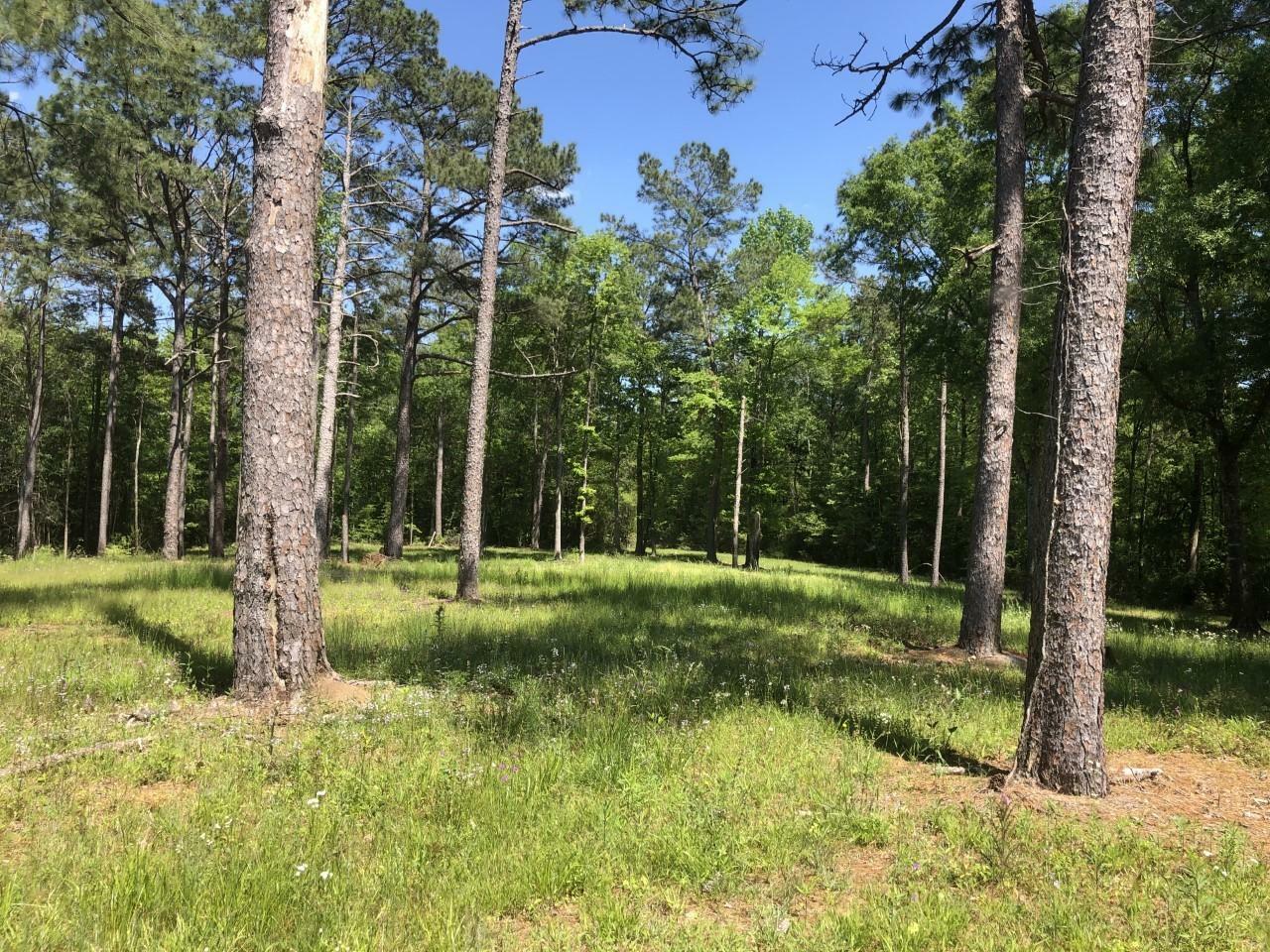 Property Photo:  2676 US Hwy 49  MS 39428 