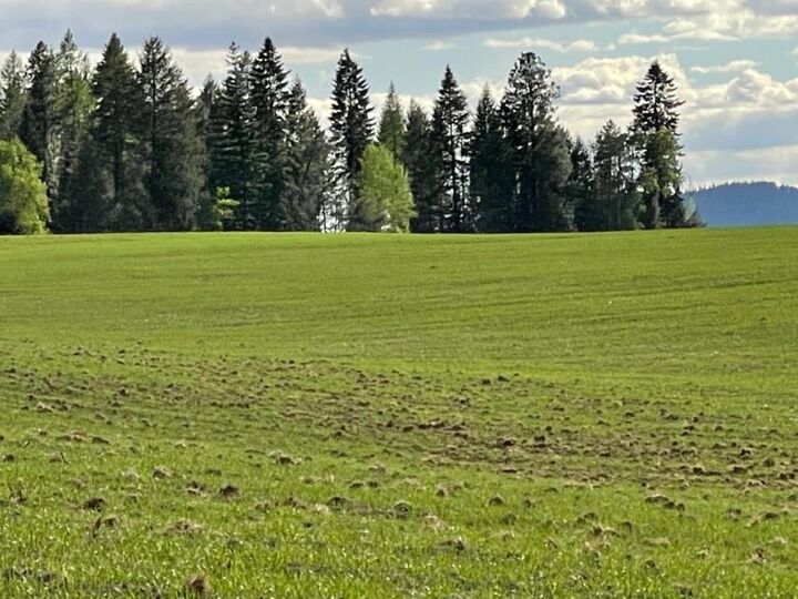 Xx W Dahl Rd Parcel 5  Deer Park WA 99006 photo