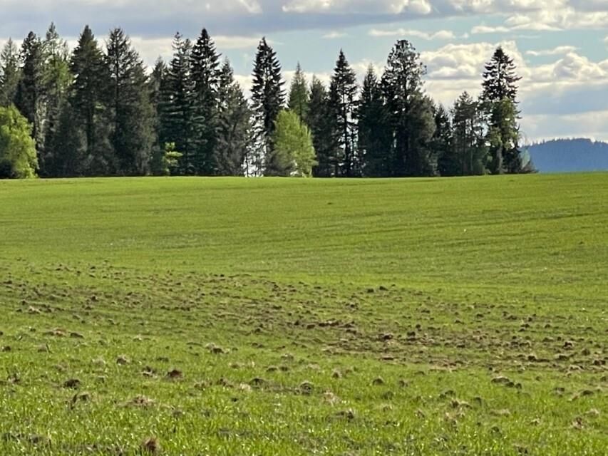 Property Photo: Xx W Dahl Rd Parcel 5 WA 99006