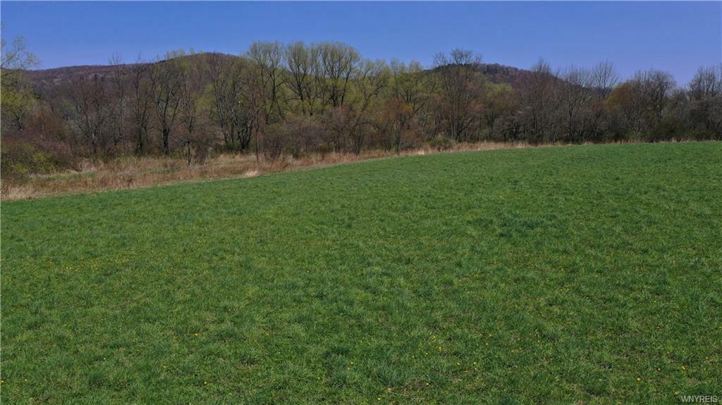 Property Photo:  Lot #3 Nys Route 98  NY 14741 