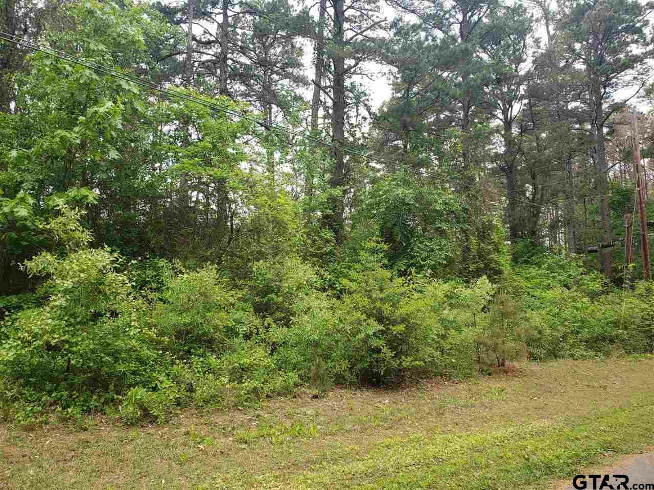 Property Photo:  Lot 142 Green Meadow Trl  TX 75765 