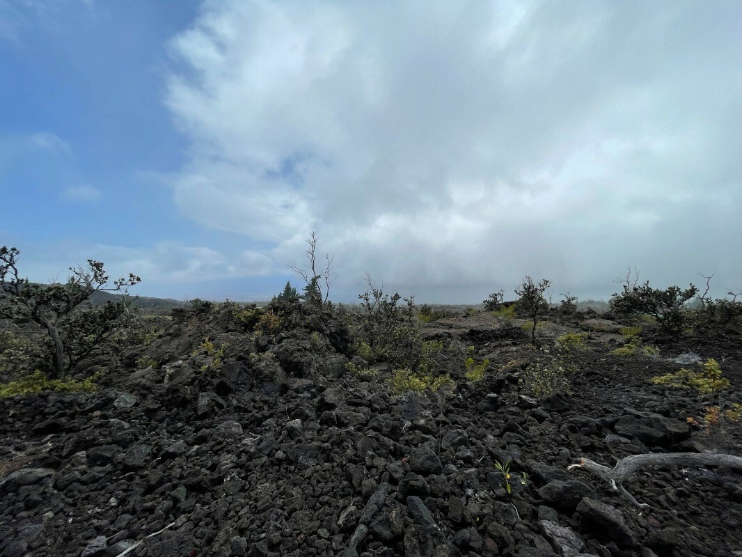 Property Photo:  Koa Ln  HI 96737 