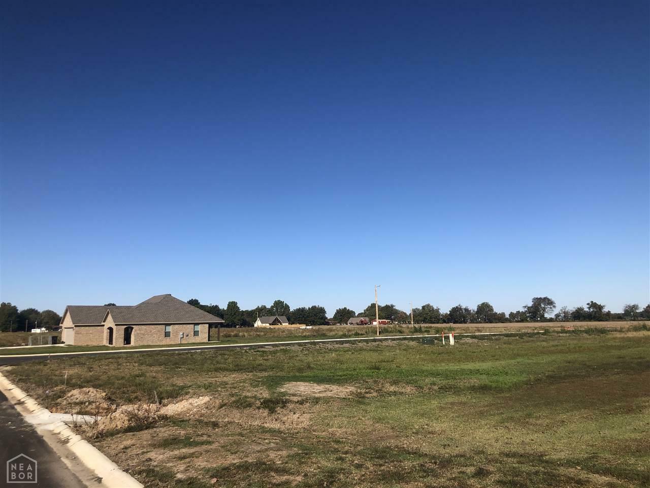 Property Photo:  Lot 13 Stella  AR 72472 