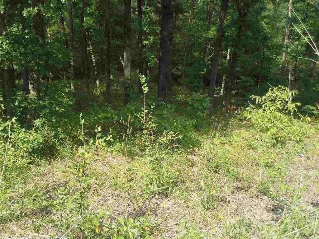 Property Photo: Willow Road AR 72404